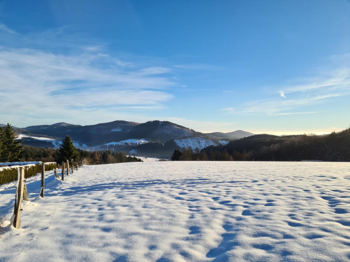 Ferienwohnung Auszeit Winterberg Zentrum Extérieur photo
